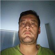 Profesional independiente en contabilidad